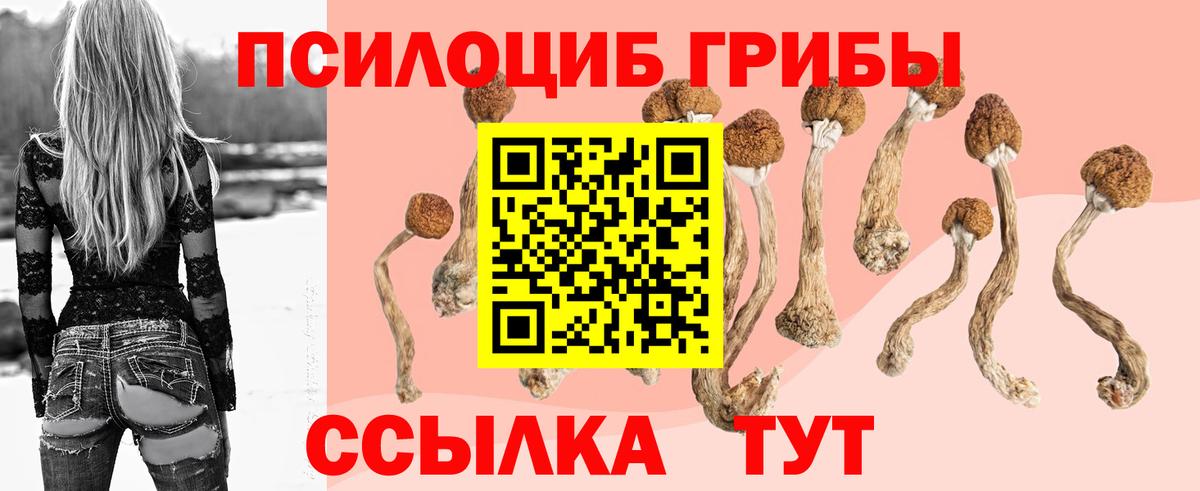 Минусинск  Псилоцибиновые грибы прущие грибы  Вход с VPN 